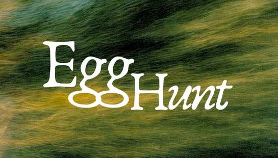 <span style="color:var(--base-color-bg)">fairview&nbsp;</span><i><span style="color:var(--base-color-bg)">Kids</span></i>